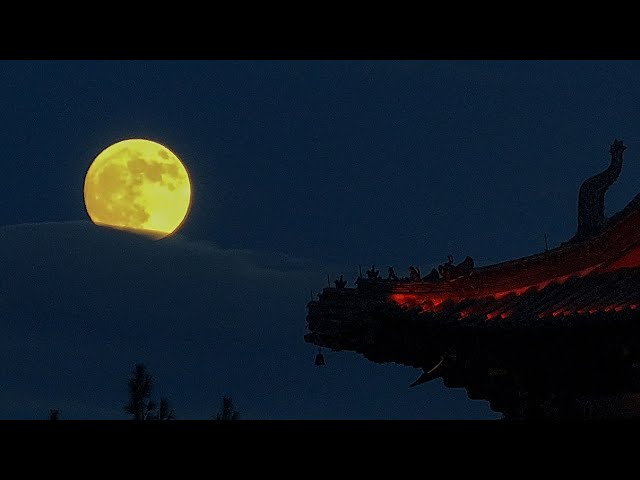 ⁣Live: The year's largest full moon graces the night sky