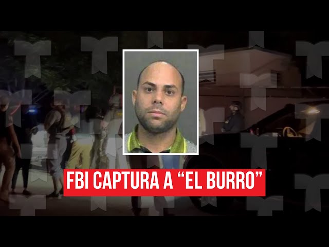 ⁣EN VIVO | FBI ofrece detalles de la captura de "El Burro"