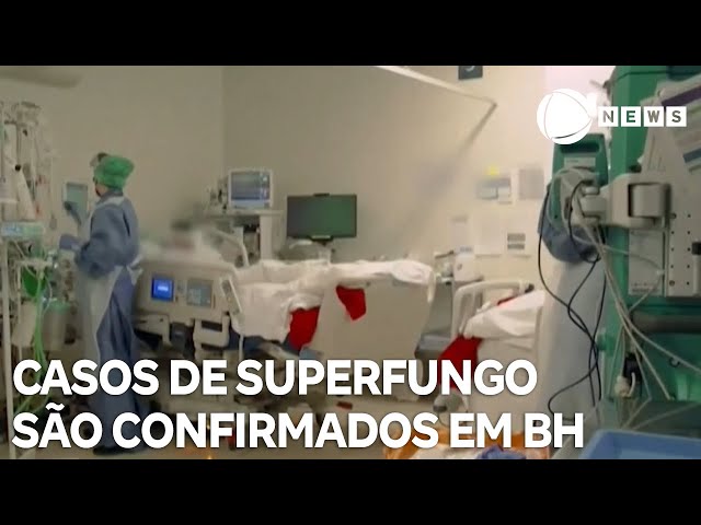 ⁣Quatro casos de superfungo são confirmados em Belo Horizonte