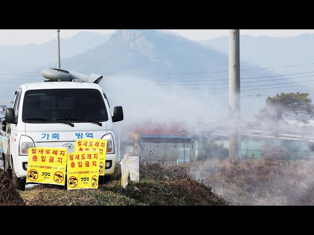 ⁣용인 청미천서 야생조류 고병원성 AI 검출…방역 강화 / 연합뉴스TV (YonhapnewsTV)