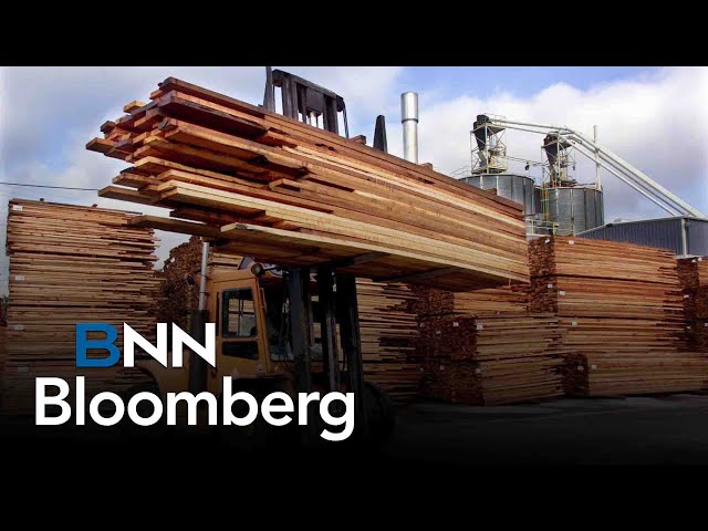 ⁣Lumber sector expected to be hit with increased duties, more closures