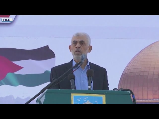 ⁣Top Hamas leader killed, Israel says