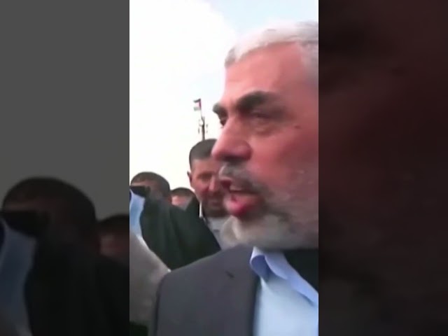 ⁣Hamas leader Yahya Sinwar killed, Israeli foreign minister says