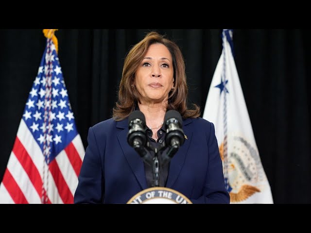 ⁣‘Justice has been served’: Kamala Harris on the killing of Hamas leader Yahya Sinwar