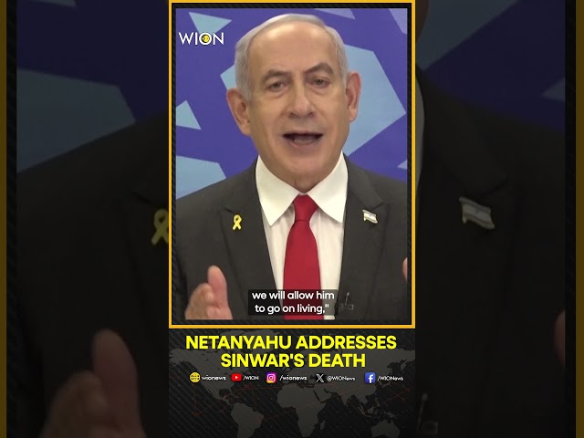 ⁣Israel's Netanyahu Says 'Evil Suffered Severe Blow' With Sinwar's Death | World 