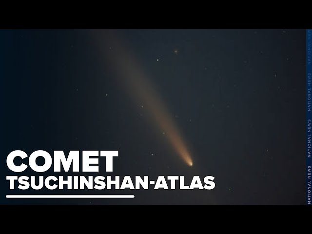 ⁣Did you manage to view the rare sighting of Comet A3?