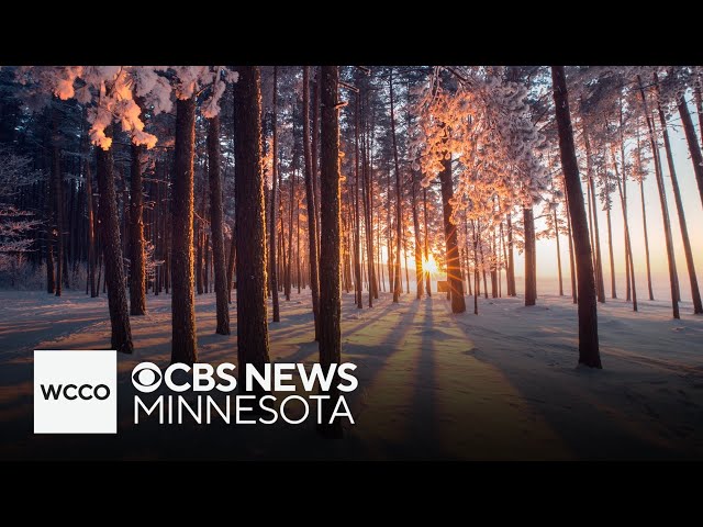 ⁣Here's Minnesota's winter outlook