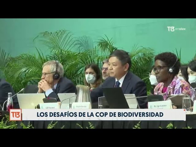 ⁣Los detalles de la COP 16: El encuentro mundial que busca proteger la biodiversidad del planeta