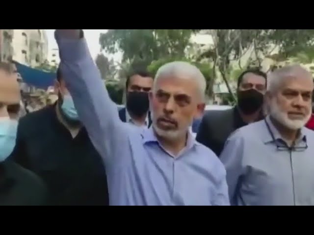 ⁣Hamas leader Yahya Sinwar killed in Gaza, expert weighs in