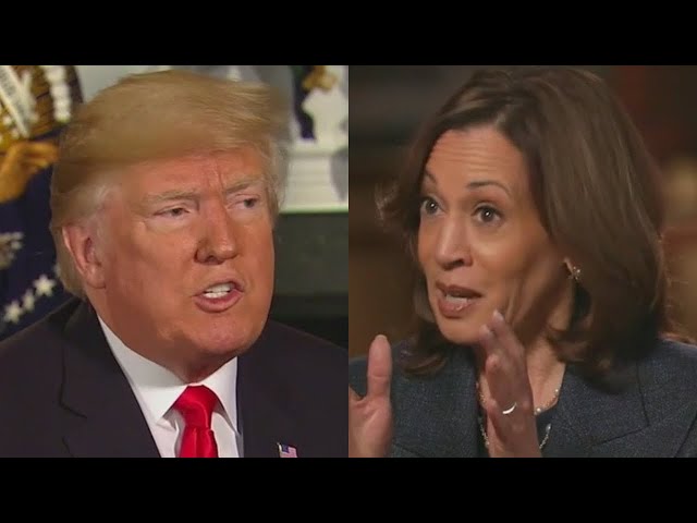 ⁣Polls show tight race between Trump and Harris, here's the breakdown