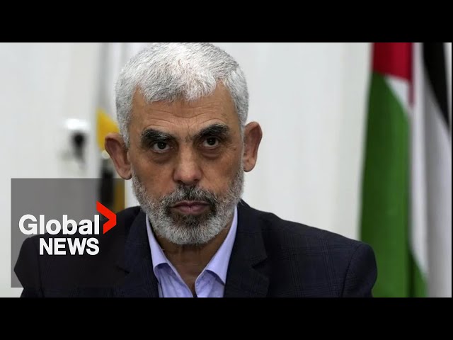 ⁣Yahya Sinwar dead: Israel says DNA confirms Hamas leader’s death in Gaza