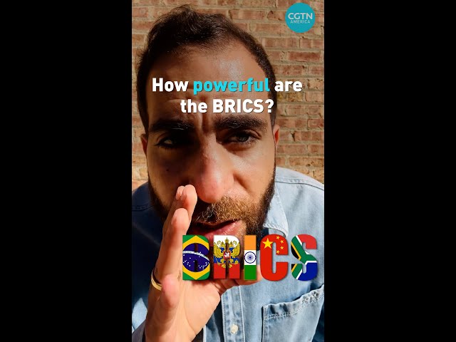 ⁣How powerful are the BRICS?