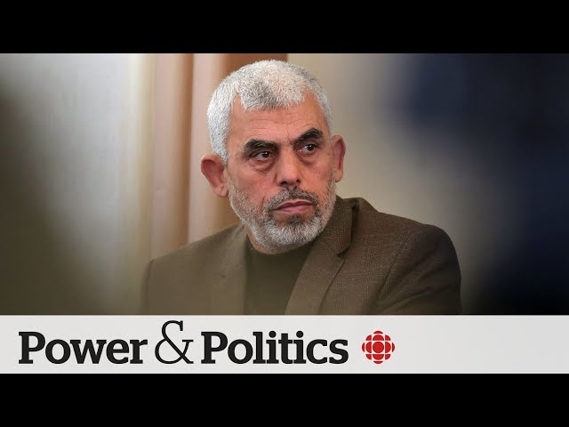 ⁣What does Yahya Sinwar's death mean for the war in Gaza?  | Power & Politics