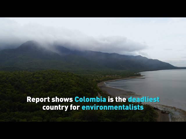 ⁣Report shows Colombia is the deadliest country for environmentalists