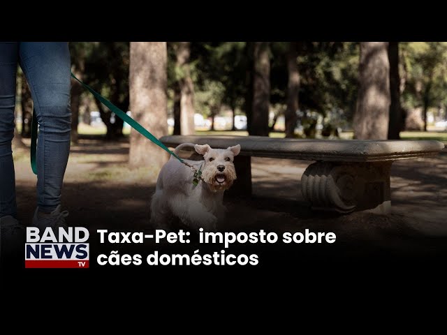 ⁣Imposto tenta limitar número de cães na Alemanha l BandNews TV