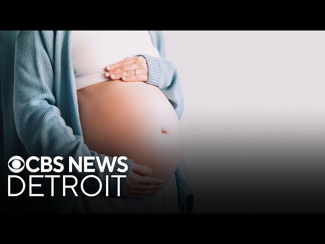 ⁣Michigan lawmakers take maternal health bills