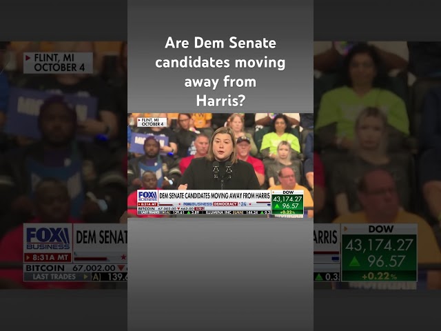 ⁣Dem sen candidate shares harsh words for Harris: She's 'falling' #shorts