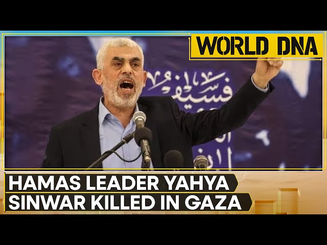 ⁣Yahya Sinwar Killed, Netanyahu Says Beginning Of The End | World DNA LIVE | Israel-Hamas War | WION