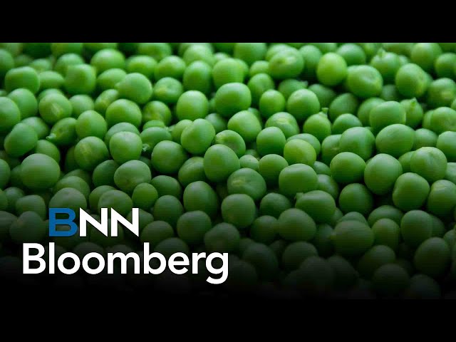 ⁣Biotech company aims to create new vegetarian craze: beef-infused peas