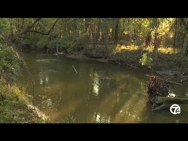 ⁣Human remains found in Rouge River in Wayne by kayaker, police investigating