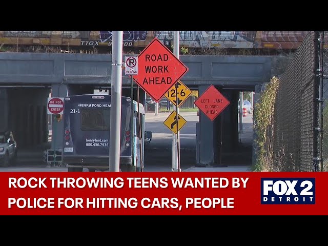 ⁣Detroit police looking for teens who threw rocks from viaduct onto cars, people