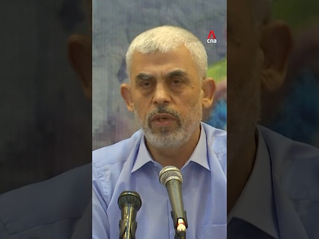 ⁣Hamas leader Yahya Sinwar killed by Israeli forces, Netanyahu says Gaza war will go on