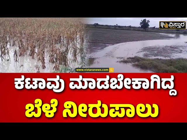 ⁣Koppala Distarict Heavy Rain |ನಿರಂತರ ಮಳೆಯಿಂದ ಸಂಕಷ್ಟಕ್ಕೆ ಸಿಲುಕಿದ ರೈತರು | Vistara News