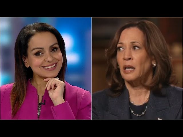 ⁣Lefties losing it: Kamala Harris and Democrats in 'full panic mode'