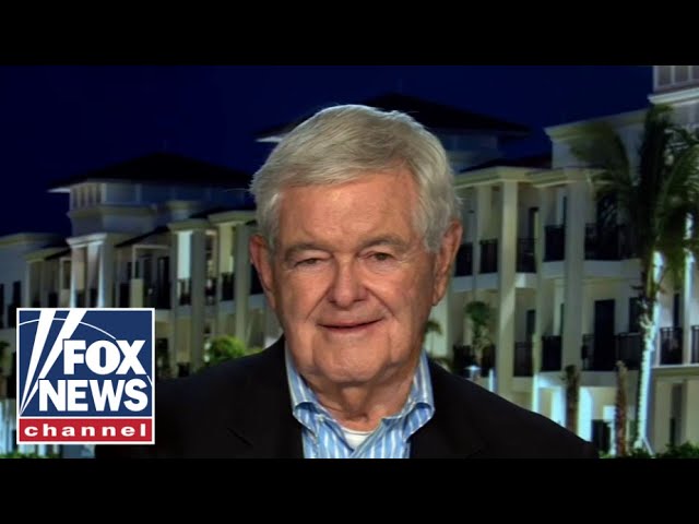 ⁣Newt Gingrich: Bret Baier ‘disrupted' Kamala Harris’ rhythm