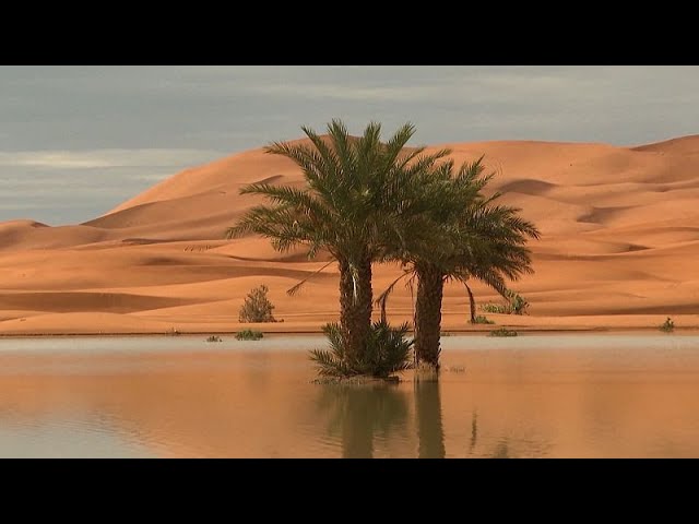 ⁣No Comment : les lacs de retour dans le désert marocain