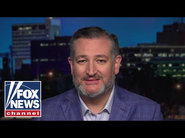 ⁣Ted Cruz says ‘I hate Donald Trump’ is Kamala Harris' answer to every question