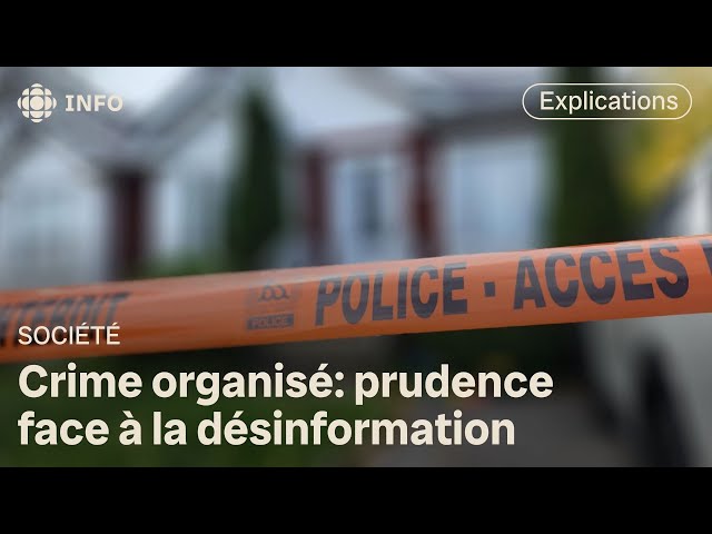 ⁣Crime organisé: prudence face à la désinformation