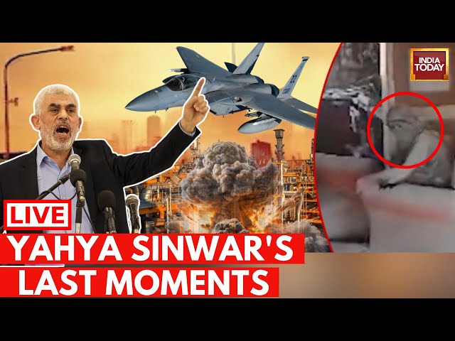 ⁣Live : Yahya Sinwar Dead News | Hamas Rection On Yahya | Gaza War News Live| Israel  Vs Hamas War