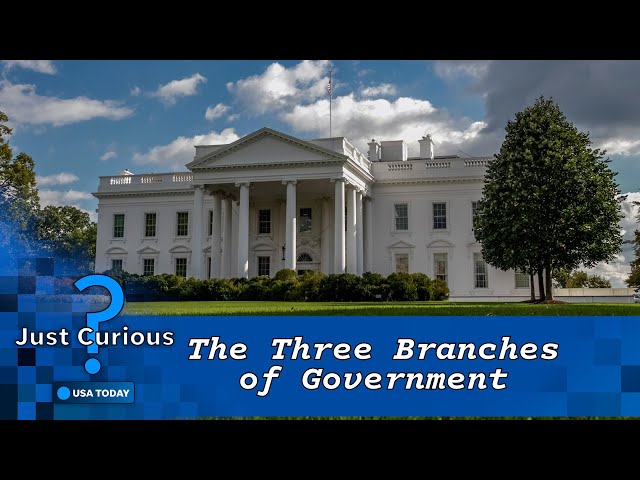 ⁣How do the three branches of government work together? | USA TODAY