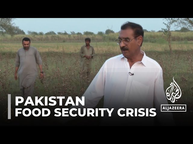 ⁣Pakistan agriculture: GOVT imports food as drought chokes farmland