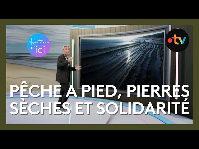 ⁣Histoire d'Ici: les écluses à poissons de l'île d'Oléron