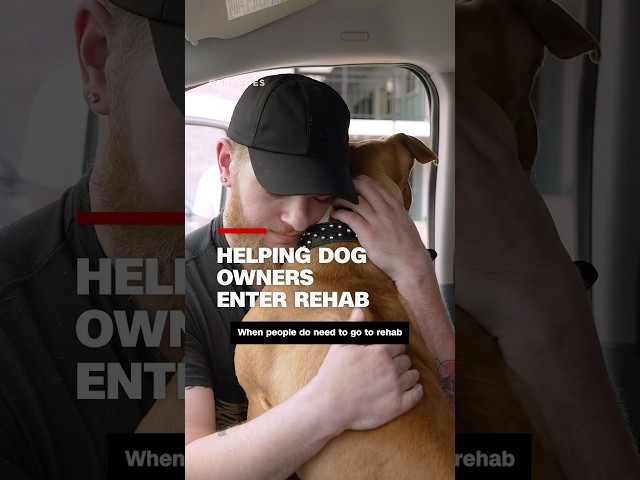 ⁣Helping dog owners enter rehab