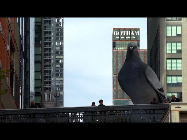 ⁣No Comment : sculpture géante d'un pigeon à New York