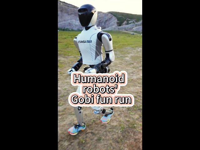 ⁣Chinese-made humanoids' Gobi fun run