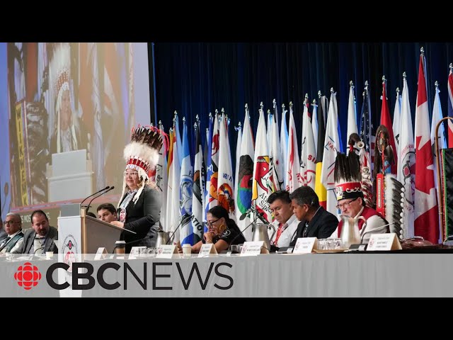 ⁣First Nations vote down resolution to endorse $47.8B child welfare reform deal