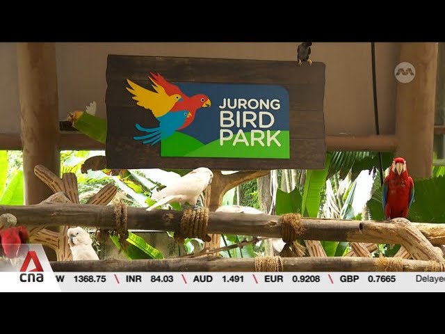 ⁣Public invited to submit ideas to transform former Jurong Bird Park area into hub for work and play