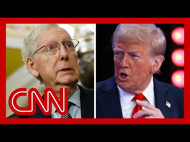 ⁣'Stupid...ill-tempered': McConnell reportedly unloads on Trump in new book