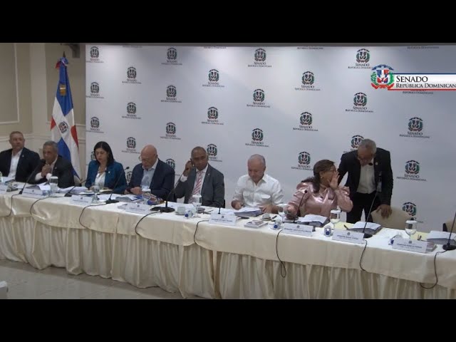 ⁣EN VIVO Selección Miembros de la Junta Central Electoral