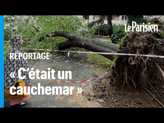 ⁣Paris : des riverains pleurent ce père de famille tué par la chute d’un arbre