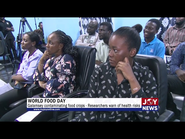 ⁣World Food Day: Galamsey contaminating food crops - Researchers warn of health risks. #JoyNews