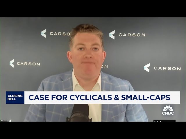 ⁣The bull market is here to stay, says Carson Group's Ryan Detrick