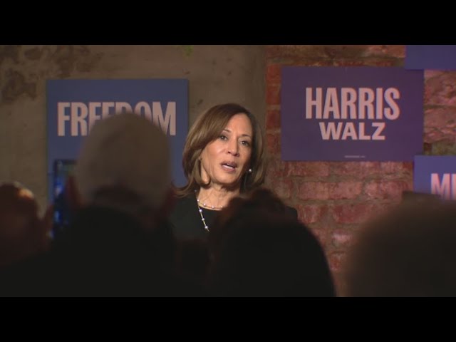 ⁣Kamala Harris campaigns in Michigan