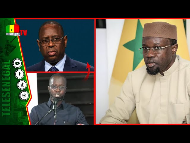 ⁣Made Codé NDIAYE détruit Macky"MACKY lui-même n'était pas au vert quand quittait le Sénéga