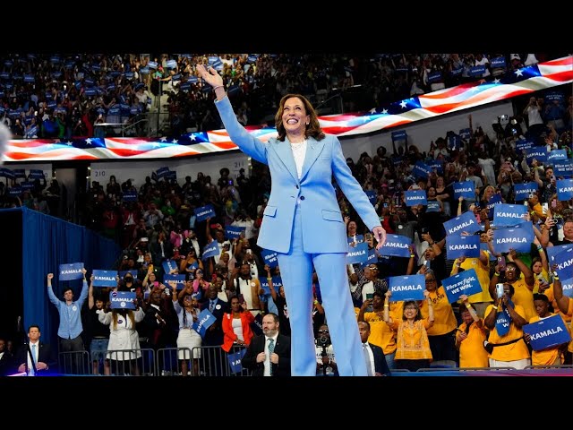 ⁣Kamala Harris relied on the ‘vibe election’ to coast her to November