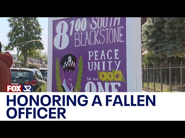 ⁣New sign honors fallen Chicago officer Areanah Preston